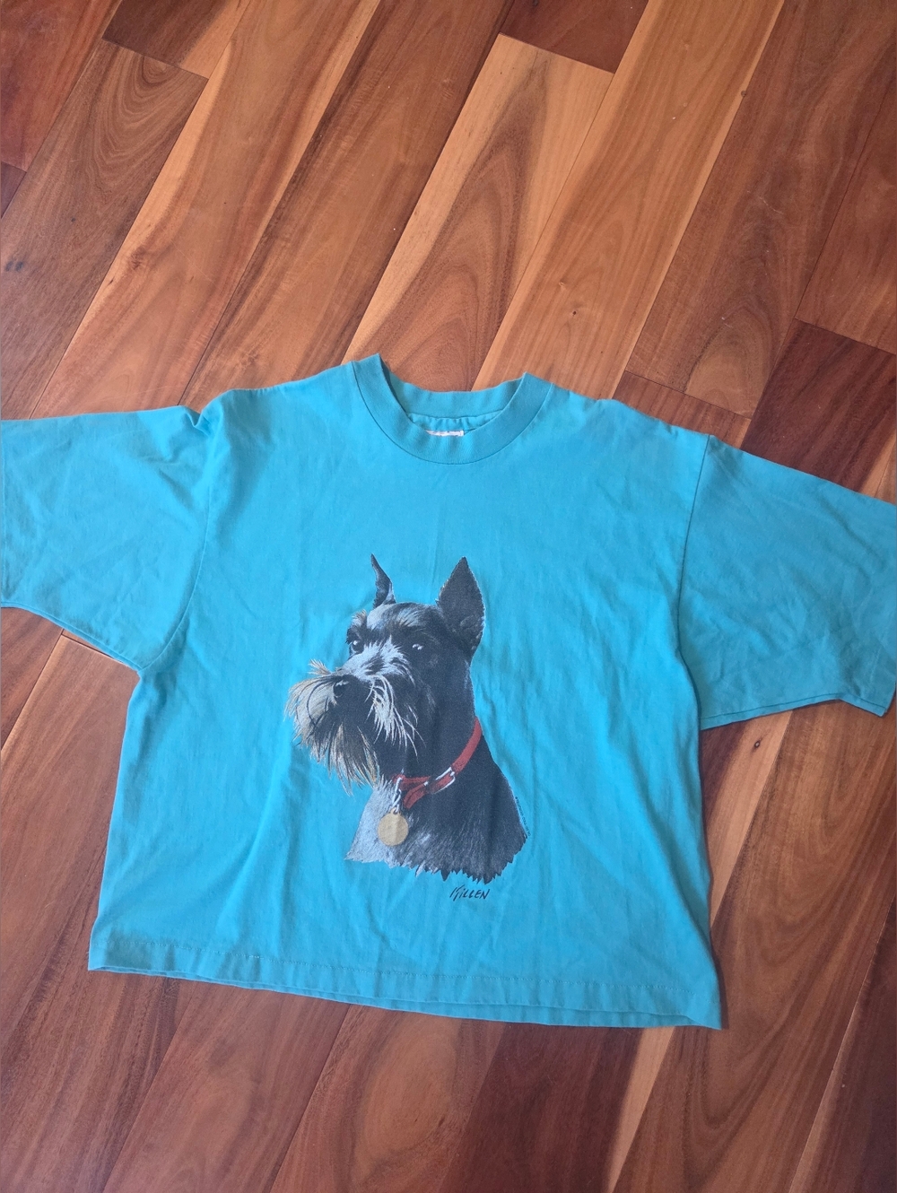 Vintage 90, Hanes Teal Short-Sleeve Dog Graphic T-Shirt Crop Top!